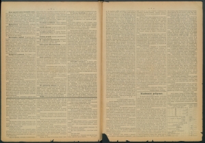 gazeta radomska-1885-14-00002